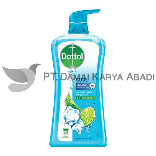 DETTOL BODYWASH